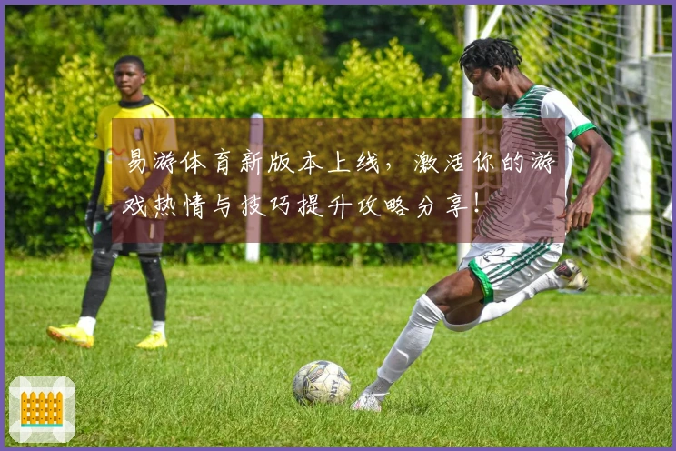 易游体育新版本上线，激活你的游戏热情与技巧提升攻略分享！